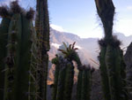 2011-12-15_06-26-49_IMGP0599.jpg