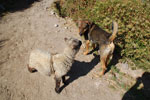 2011-12-15_08-31-41_DSC_0241.jpg
