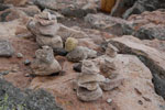2011-12-15_13-30-59_DSC_0336.jpg
