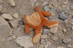 2011-12-18_12-53-01_DSC_0514.jpg