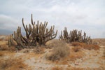 2011-12-18_13-07-09_DSC_0553.jpg