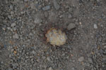 2011-12-18_15-00-05_DSC_0608.jpg