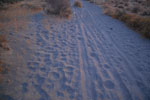 2011-12-18_18-08-26_DSC_0792.jpg