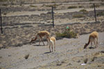 2011-12-19_09-31-14_DSC_0961.jpg