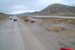 2011-12-19_13-41-11_DSC_0974.jpg
