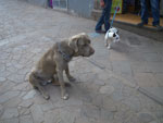 2011-12-20_16-03-14_IMGP0780.jpg