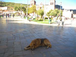 2011-12-20_17-02-49_IMGP0796.jpg