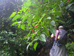 2011-12-22_10-33-54_IMGP0947.jpg