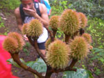2011-12-22_10-38-43_IMGP0951.jpg