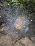2011-12-22_10-40-47_IMGP0952.jpg