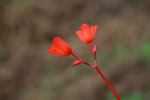 2011-12-22_11-07-43_DSC_1047.jpg