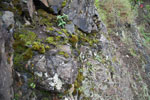 2011-12-22_11-08-09_DSC_1049.jpg