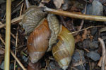 2011-12-22_11-58-15_DSC_1114.jpg