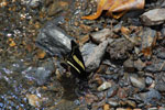 2011-12-22_12-25-50_DSC_1144.jpg