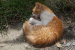 2011-12-22_12-50-34_DSC_1159.jpg
