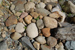2011-12-22_15-22-14_DSC_1244.jpg