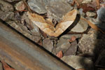 2011-12-23_14-00-12_DSC_1339.jpg
