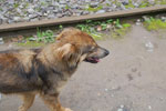 2011-12-23_14-37-34_DSC_1401.jpg