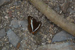 2011-12-23_14-46-01_DSC_1420.jpg