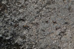 2011-12-23_15-27-54_DSC_1464.jpg