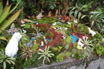 2011-12-23_16-28-54_DSC_1490.jpg