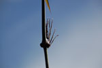 2011-12-24_08-30-00_DSC_1683.jpg