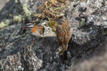 2011-12-24_09-41-50_DSC_1861.jpg