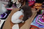 2011-12-29_10-12-17_DSC_2632.jpg