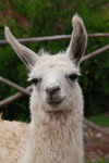 2011-12-29_10-19-34_DSC_2664.jpg