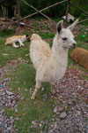 2011-12-29_10-19-43_DSC_2669.jpg