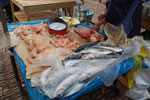 2011-12-29_11-02-13_DSC_2697.jpg