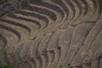 2011-12-29_12-05-34_DSC_2740.jpg