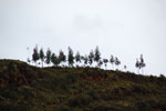 2011-12-29_12-10-25_DSC_2748.jpg