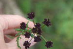 2011-12-29_12-38-57_DSC_2833.jpg