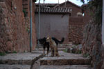2011-12-29_18-25-47_DSC_3134.jpg