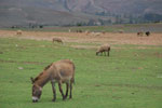 2011-12-30_12-33-15_DSC_3314.jpg
