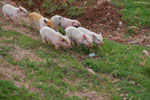 2011-12-30_14-20-25_DSC_3471.jpg