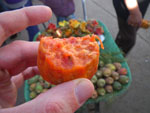 2011-12-31_16-21-49_IMGP1401.jpg