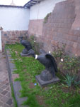 2011-12-31_17-40-39_IMGP1426.jpg