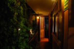 2012-01-08_22-47-09_DSC_3509.jpg