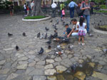 2012-01-10_16-21-20_IMGP2291.jpg