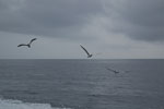2012-01-14_09-46-24_DSC_3640.jpg