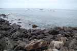 2012-01-14_10-09-41_DSC_3653.jpg