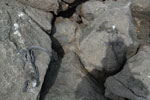 2012-01-14_10-12-18_DSC_3660.jpg