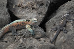 2012-01-14_10-14-19_DSC_3668.jpg