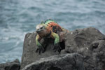2012-01-14_10-14-50_DSC_3671.jpg