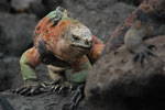 2012-01-14_10-15-15_DSC_3672.jpg