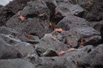 2012-01-14_10-15-29_DSC_3674.jpg