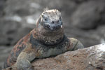 2012-01-14_10-15-51_DSC_3675.jpg