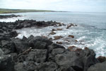 2012-01-14_10-19-13_DSC_3684.jpg